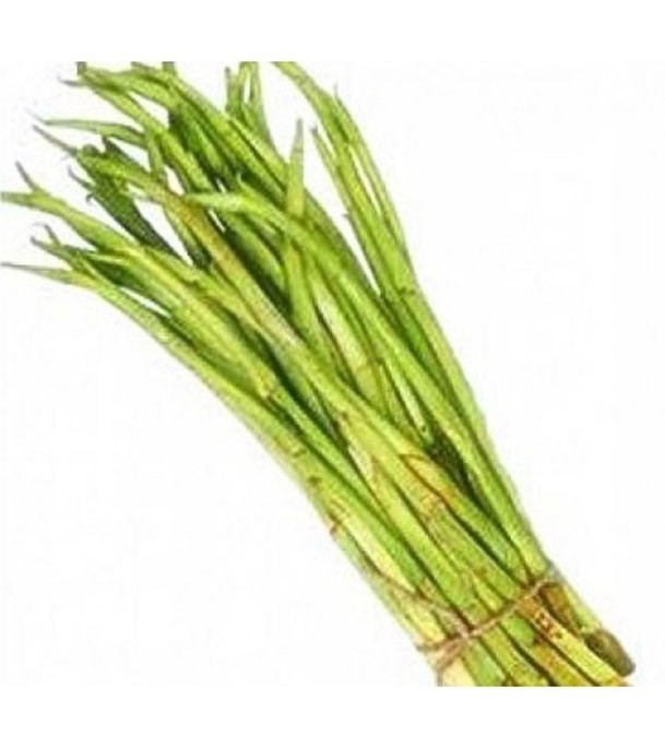 Vegetable Loti (লতি) Per Bundle