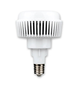 Blaze AC LED Long Neck 100w E27 Day Light