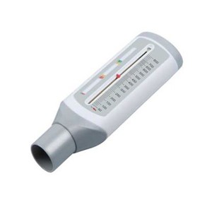 Peak Flow Meter